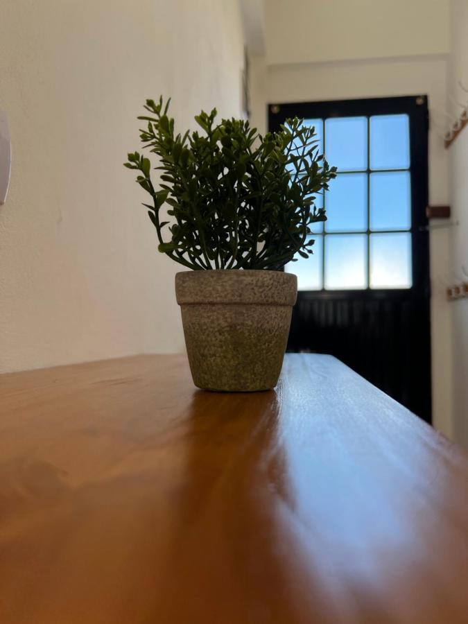 Tiny -refugio- A 5 Minutos Del Centro En Auto Apartamento *